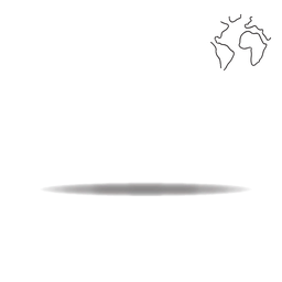 WE RISE