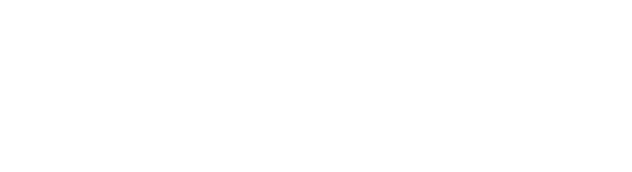 WE RISE